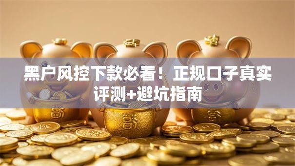 黑户风控下款必看！正规口子真实评测+避坑指南