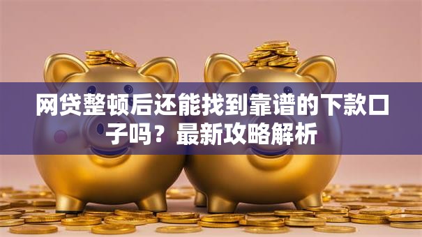 网贷整顿后还能找到靠谱的下款口子吗？最新攻略解析