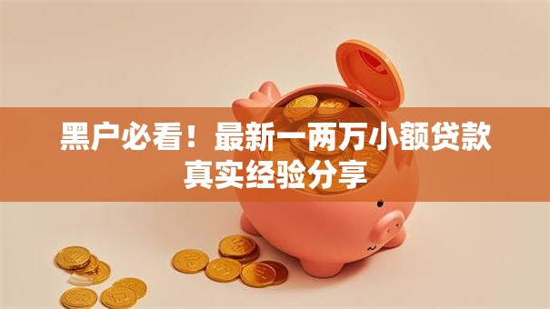 黑户必看！最新一两万小额贷款真实经验分享
