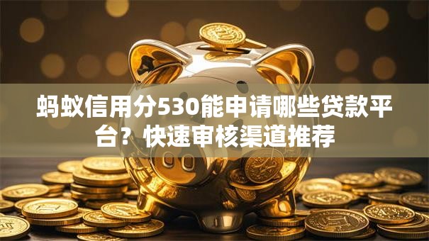 蚂蚁信用分530能申请哪些贷款平台？快速审核渠道推荐
