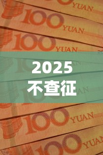 2025不查征信黑户口子有哪些？这些渠道或许能帮你解决资金难题