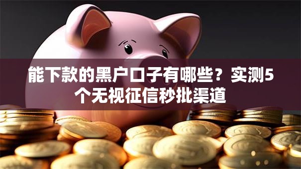 能下款的黑户口子有哪些？实测5个无视征信秒批渠道