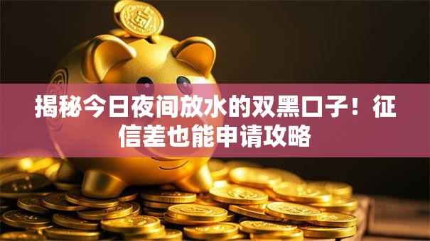 揭秘今日夜间放水的双黑口子！征信差也能申请攻略
