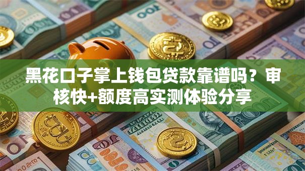 黑花口子掌上钱包贷款靠谱吗？审核快+额度高实测体验分享