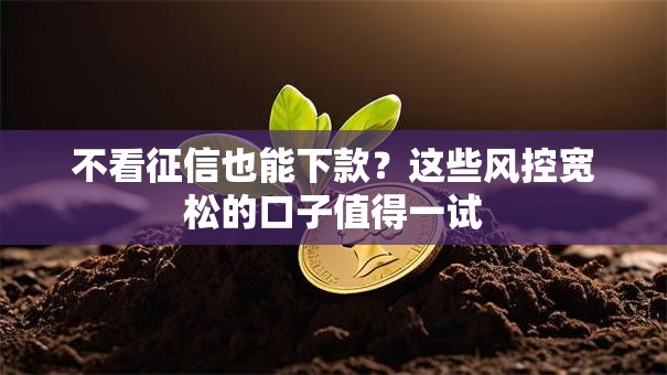 不看征信也能下款？这些风控宽松的口子值得一试