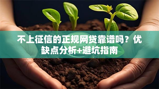 不上征信的正规网贷靠谱吗？优缺点分析+避坑指南