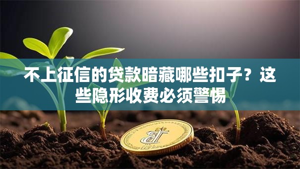 不上征信的贷款暗藏哪些扣子？这些隐形收费必须警惕