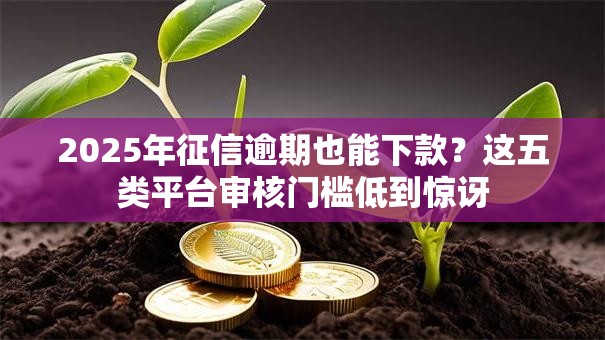 2025年征信逾期也能下款？这五类平台审核门槛低到惊讶