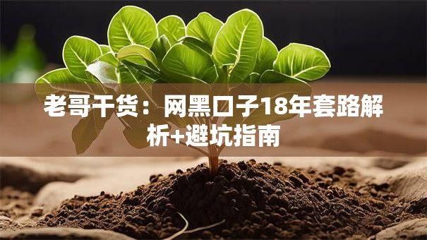 老哥干货：网黑口子18年套路解析+避坑指南