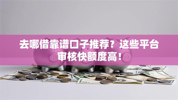 去哪借靠谱口子推荐？这些平台审核快额度高！