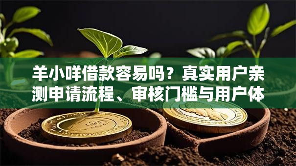 羊小咩借款容易吗？真实用户亲测申请流程、审核门槛与用户体验解析