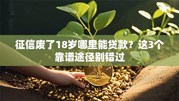 征信废了18岁哪里能贷款？这3个靠谱途径别错过