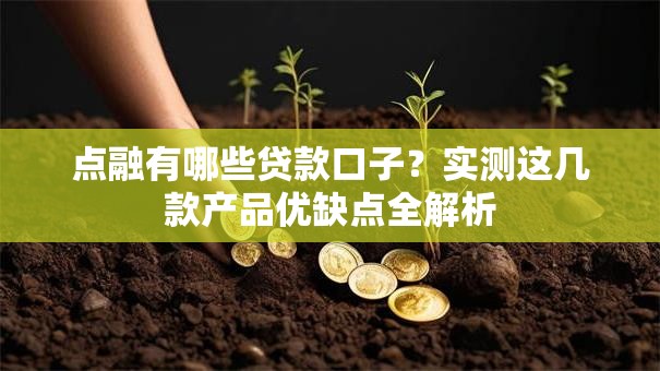 点融有哪些贷款口子？实测这几款产品优缺点全解析