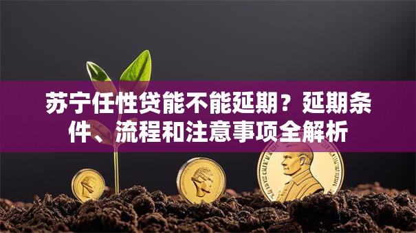 苏宁任性贷能不能延期？延期条件、流程和注意事项全解析