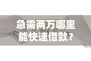 急需两万哪里能快速借款？这几招帮你解决资金难题