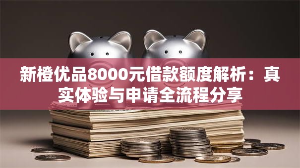 新橙优品8000元借款额度解析：真实体验与申请全流程分享