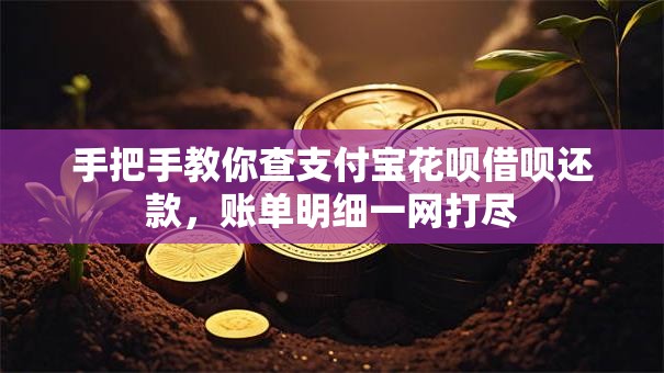 手把手教你查支付宝花呗借呗还款，账单明细一网打尽