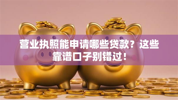 营业执照能申请哪些贷款？这些靠谱口子别错过！