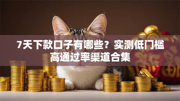 7天下款口子有哪些？实测低门槛高通过率渠道合集