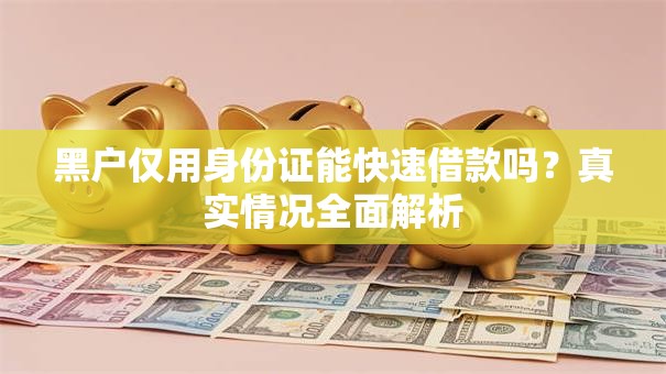 黑户仅用身份证能快速借款吗？真实情况全面解析