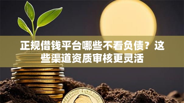 正规借钱平台哪些不看负债？这些渠道资质审核更灵活