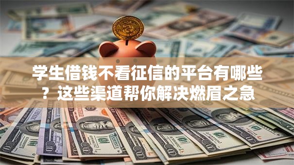 学生借钱不看征信的平台有哪些？这些渠道帮你解决燃眉之急
