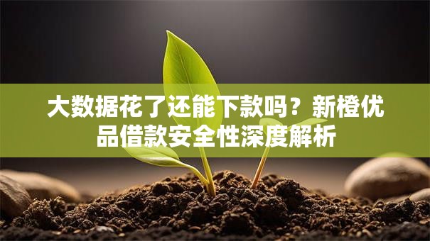 大数据花了还能下款吗？新橙优品借款安全性深度解析