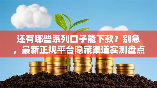 还有哪些系列口子能下款？别急，最新正规平台隐藏渠道实测盘点！