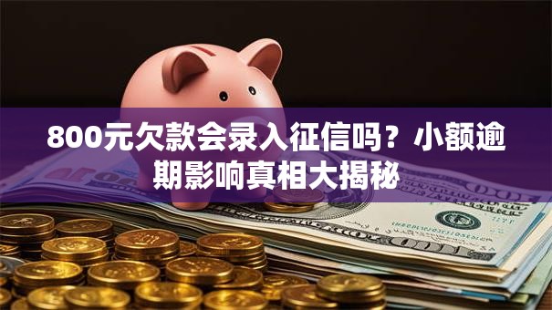800元欠款会录入征信吗？小额逾期影响真相大揭秘