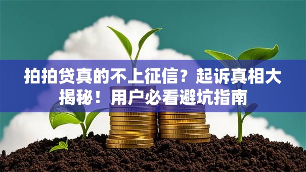 拍拍贷真的不上征信？起诉真相大揭秘！用户必看避坑指南