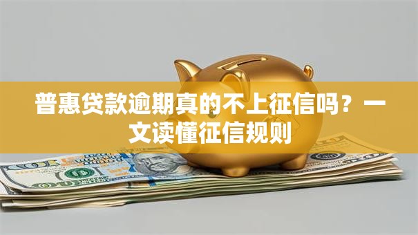 普惠贷款逾期真的不上征信吗？一文读懂征信规则