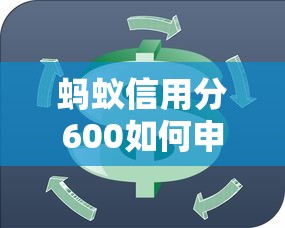 蚂蚁信用分600如何申请小额贷款？实用攻略与避坑指南