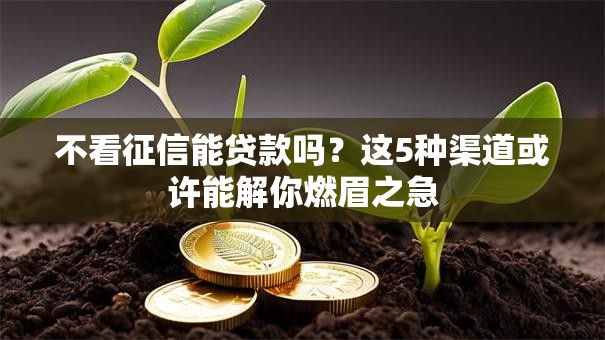 不看征信能贷款吗？这5种渠道或许能解你燃眉之急