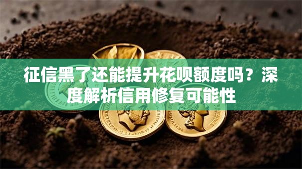 征信黑了还能提升花呗额度吗？深度解析信用修复可能性