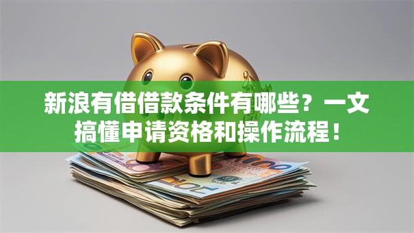 新浪有借借款条件有哪些？一文搞懂申请资格和操作流程！