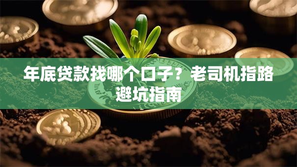 年底贷款找哪个口子？老司机指路避坑指南