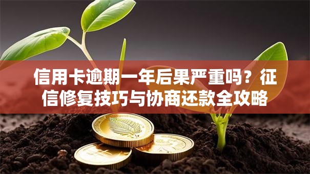 信用卡逾期一年后果严重吗？征信修复技巧与协商还款全攻略