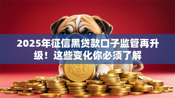 2025年征信黑贷款口子监管再升级！这些变化你必须了解