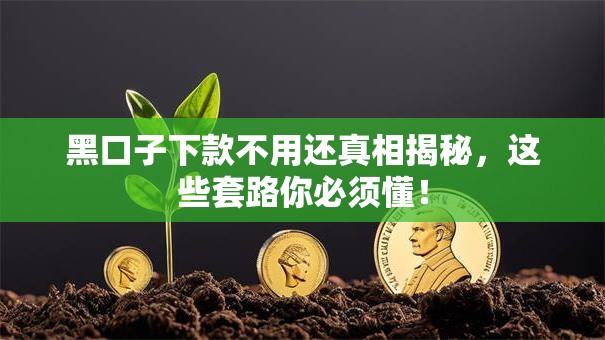 黑口子下款不用还真相揭秘，这些套路你必须懂！