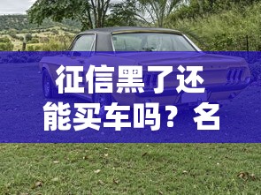 征信黑了还能买车吗？名下车辆处理与贷款避坑指南
