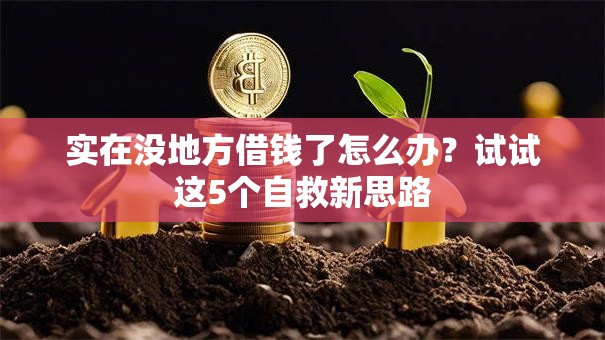 实在没地方借钱了怎么办？试试这5个自救新思路
