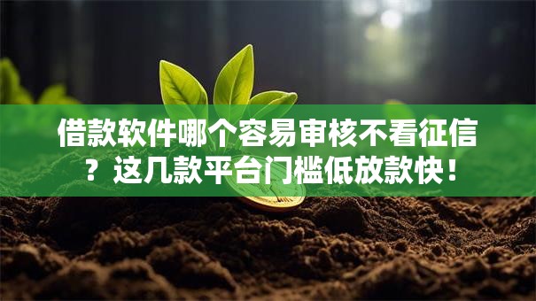 借款软件哪个容易审核不看征信？这几款平台门槛低放款快！
