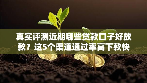 真实评测近期哪些贷款口子好放款？这5个渠道通过率高下款快