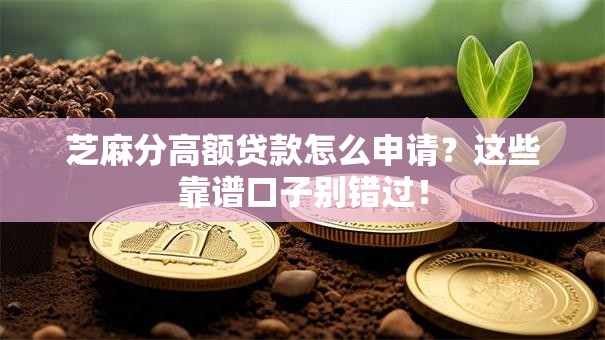 芝麻分高额贷款怎么申请？这些靠谱口子别错过！