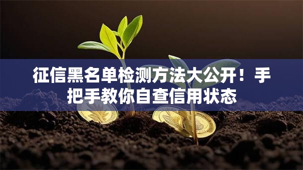 征信黑名单检测方法大公开！手把手教你自查信用状态