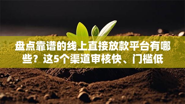 盘点靠谱的线上直接放款平台有哪些？这5个渠道审核快、门槛低