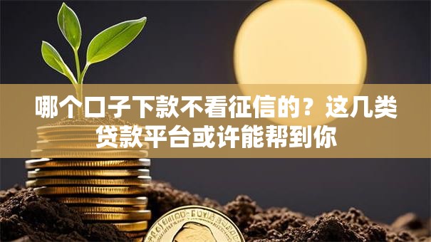 哪个口子下款不看征信的？这几类贷款平台或许能帮到你