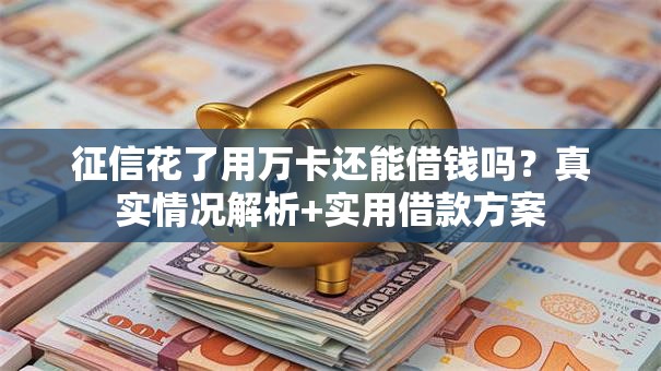 征信花了用万卡还能借钱吗？真实情况解析+实用借款方案