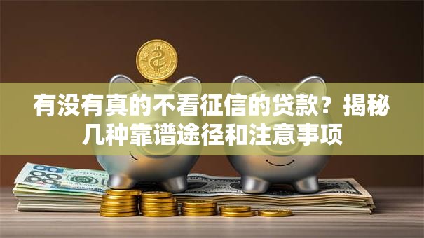 有没有真的不看征信的贷款？揭秘几种靠谱途径和注意事项