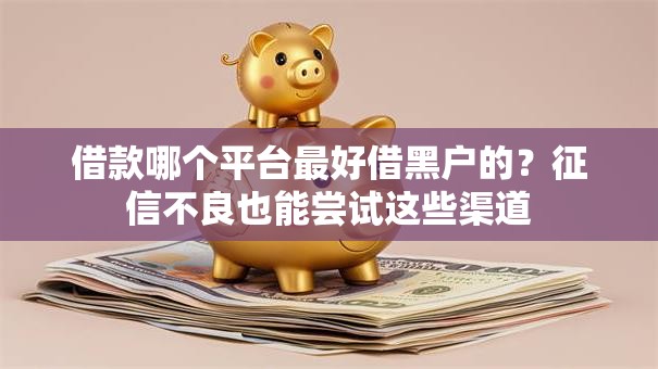 借款哪个平台最好借黑户的？征信不良也能尝试这些渠道
